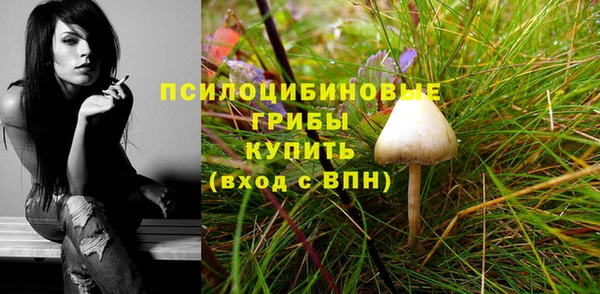 СК Богородицк