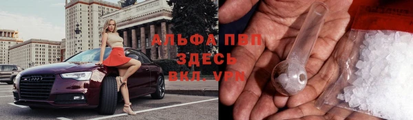 СК Богородицк