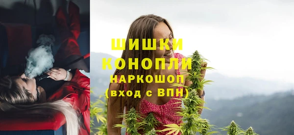 СК Богородицк