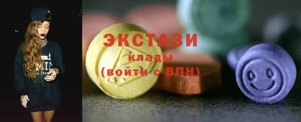 СК Богородицк