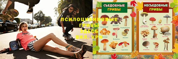 а пвп мука Богданович